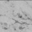 Sol 3076: Mast Camera (Mastcam)