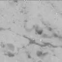 Sol 3076: Mast Camera (Mastcam)