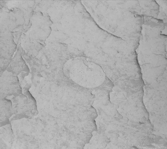 Sol 3091: Mast Camera (Mastcam)