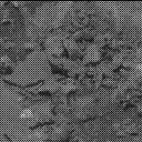 Sol 3113: Mast Camera (Mastcam)