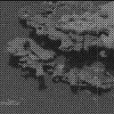 Sol 3115: Mast Camera (Mastcam)