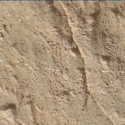 Sol 3119: Mars Hand Lens Imager (MAHLI)