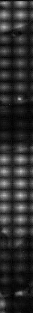 Sol 3128: Mast Camera (Mastcam)