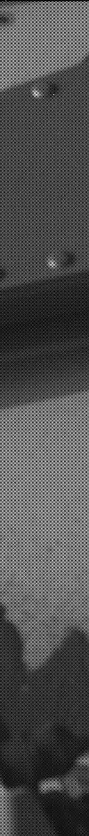 Sol 3128: Mast Camera (Mastcam)