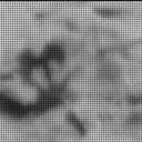 Sol 3137: Mast Camera (Mastcam)