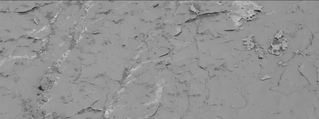 Sol 3156: Mast Camera (Mastcam)