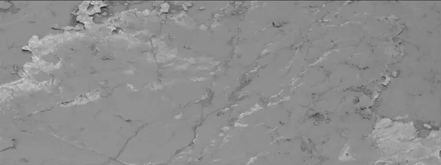 Sol 3156: Mast Camera (Mastcam)