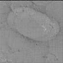 Sol 3156: Mast Camera (Mastcam)