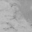 Sol 3180: Mast Camera (Mastcam)