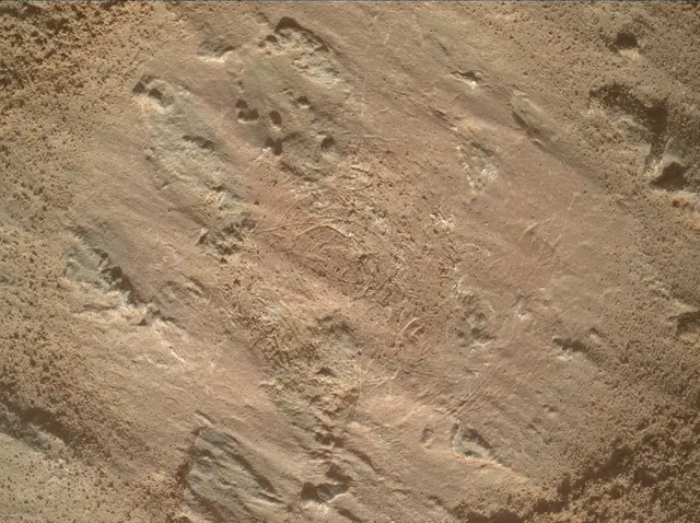 Sol 3201: Mars Hand Lens Imager (MAHLI)