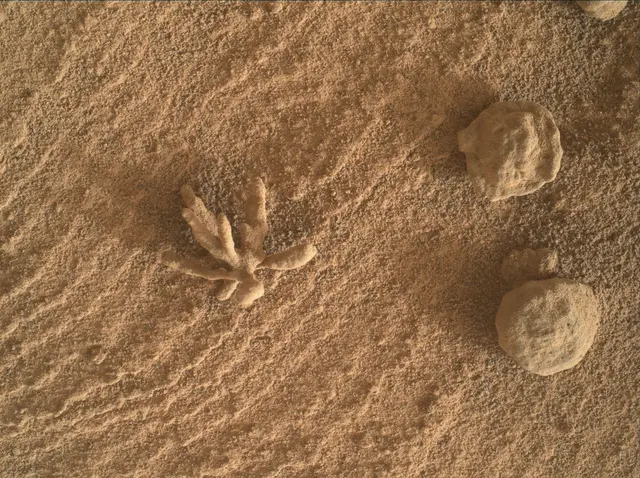 Sol 3397: Mars Hand Lens Imager (MAHLI)
