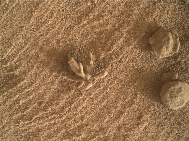 Sol 3397: Mars Hand Lens Imager (MAHLI)
