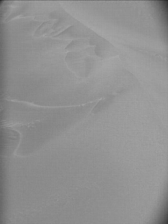 Sol 4093: Mast Camera (Mastcam)