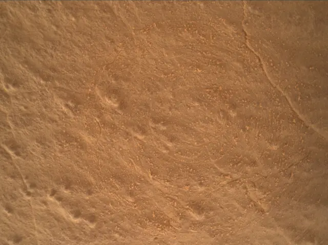 Sol 4132: Mars Hand Lens Imager (MAHLI)