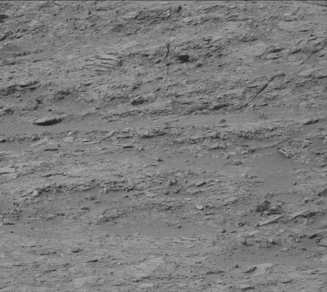Sol 4135: Mast Camera (Mastcam)