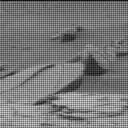 Sol 4164: Mast Camera (Mastcam)