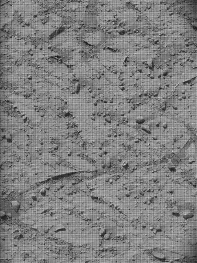 Sol 4266: Mast Camera (Mastcam)