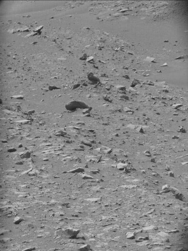Sol 4297: Mast Camera (Mastcam)