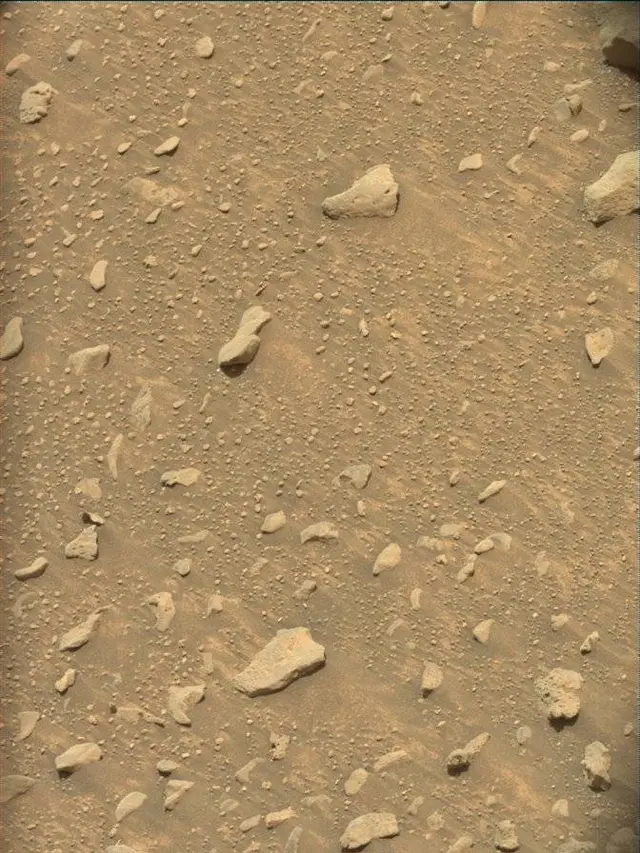 Sol 4301: Mast Camera (Mastcam)
