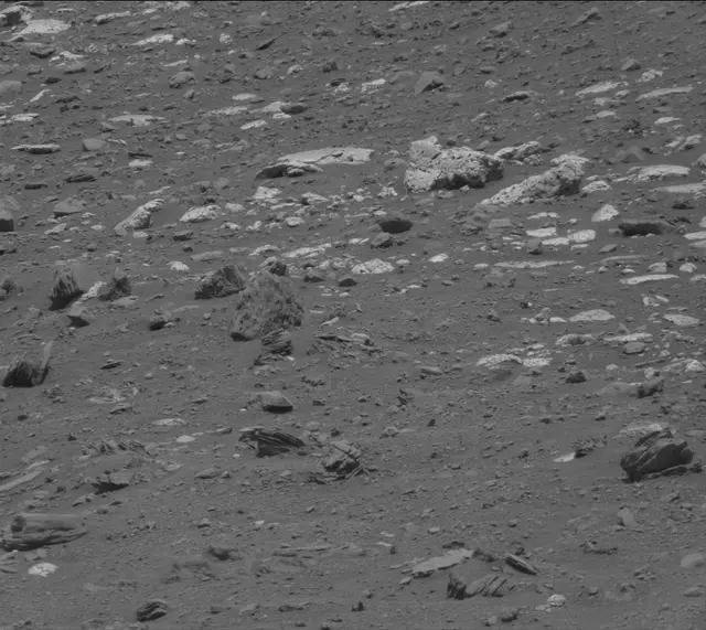 Sol 4307: Mast Camera (Mastcam)