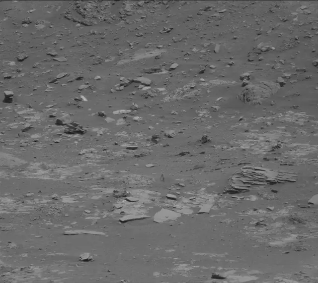 Sol 4309: Mast Camera (Mastcam)
