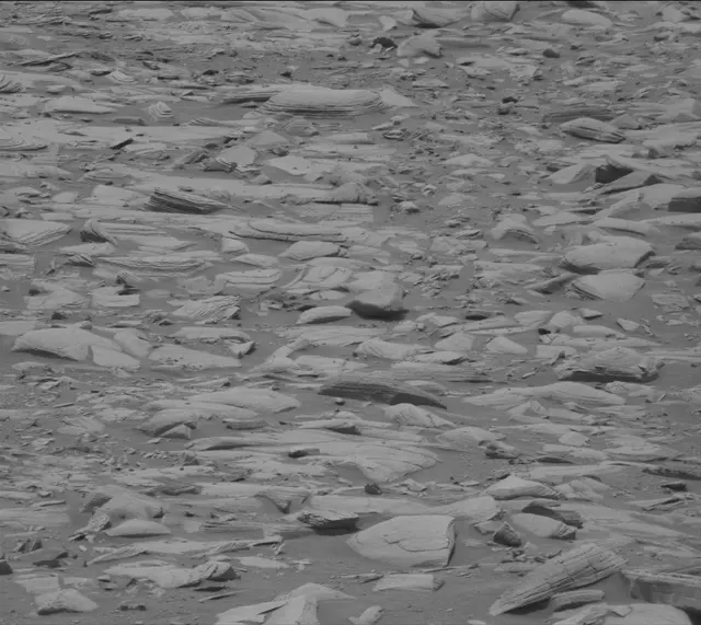 Sol 4325: Mast Camera (Mastcam)