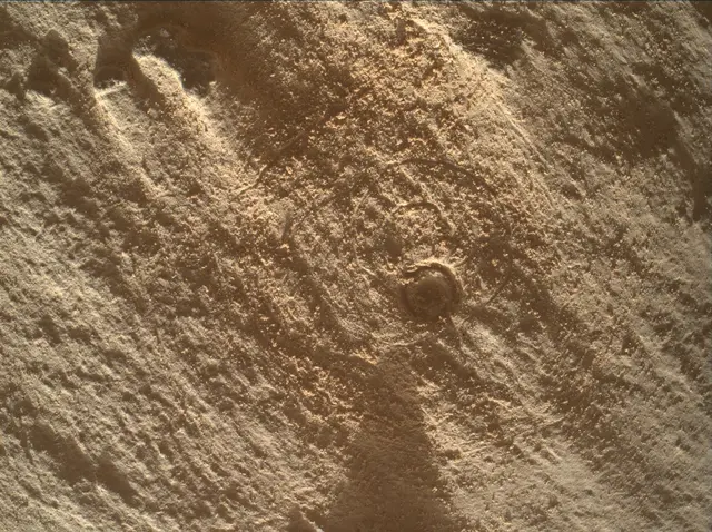 Sol 4444: Mars Hand Lens Imager (MAHLI)