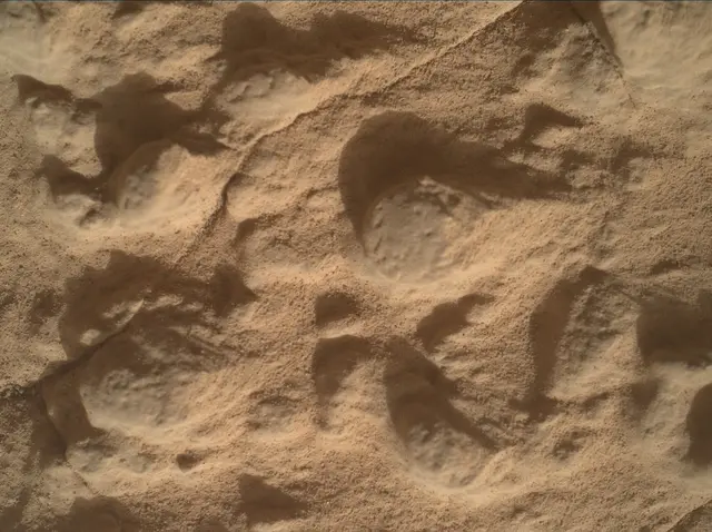Sol 4455: Mars Hand Lens Imager (MAHLI)