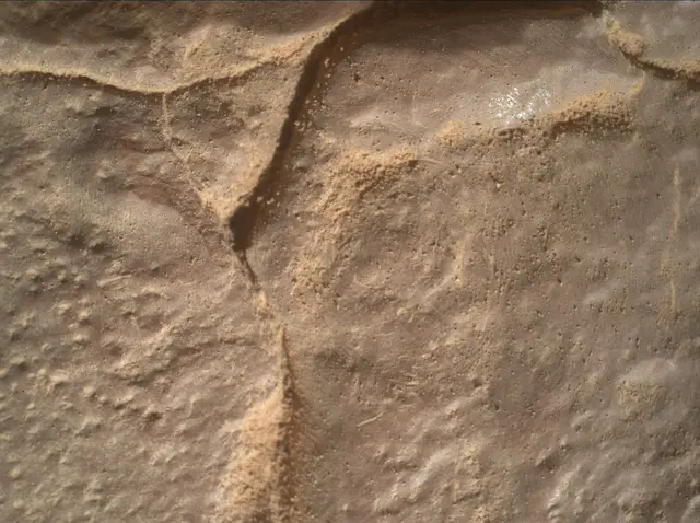 Sol 4455: Mars Hand Lens Imager (MAHLI)
