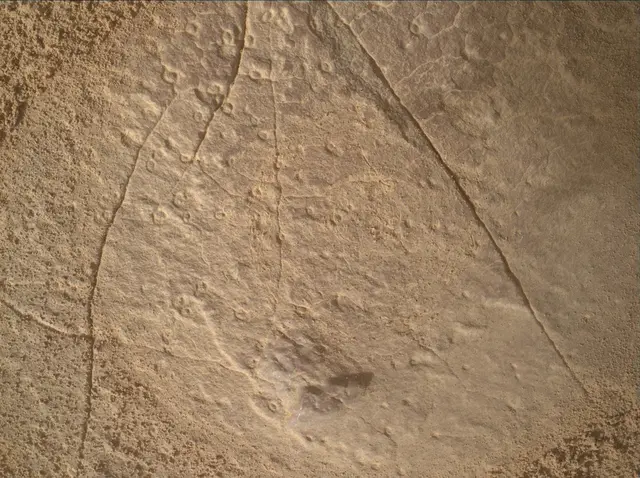Sol 4459: Mars Hand Lens Imager (MAHLI)