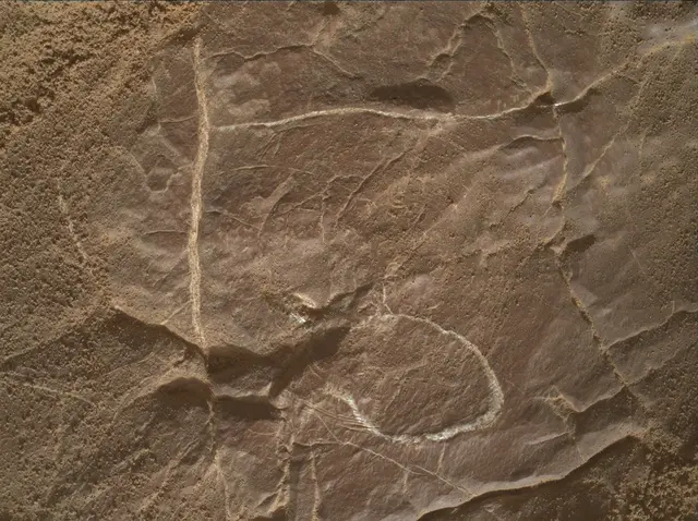 Sol 4578: Mars Hand Lens Imager (MAHLI)
