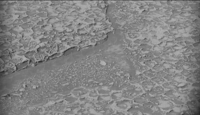 Sol 4935: Mast Camera (Mastcam)