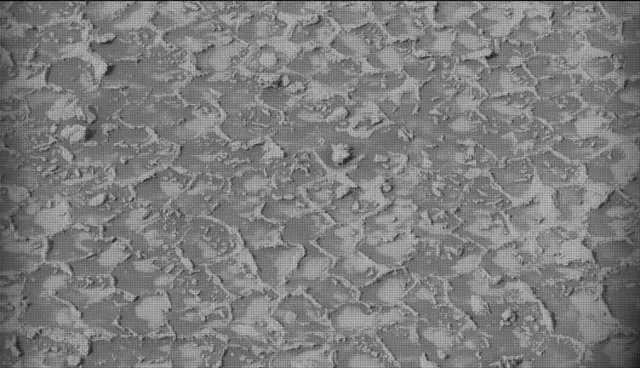 Sol 4935: Mast Camera (Mastcam)