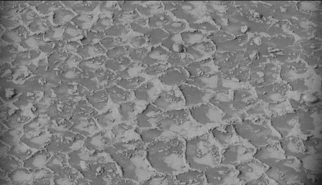 Sol 4935: Mast Camera (Mastcam)
