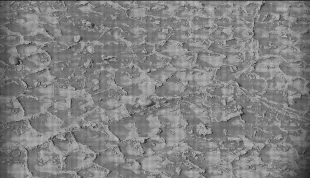 Sol 4935: Mast Camera (Mastcam)