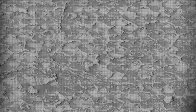 Sol 4935: Mast Camera (Mastcam)