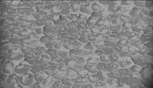 Sol 4935: Mast Camera (Mastcam)