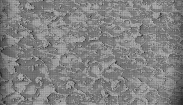 Sol 4935: Mast Camera (Mastcam)