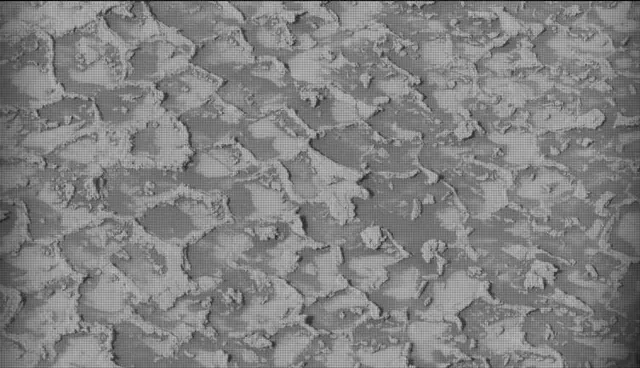 Sol 4935: Mast Camera (Mastcam)