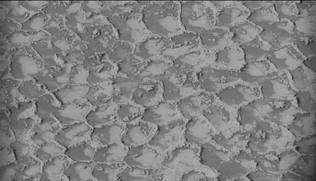 Sol 4935: Mast Camera (Mastcam)