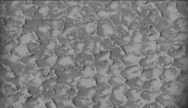 Sol 4935: Mast Camera (Mastcam)