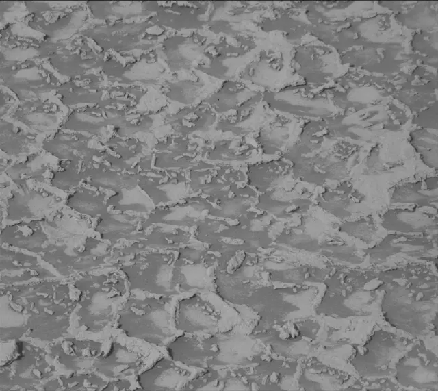 Sol 4935: Mast Camera (Mastcam)