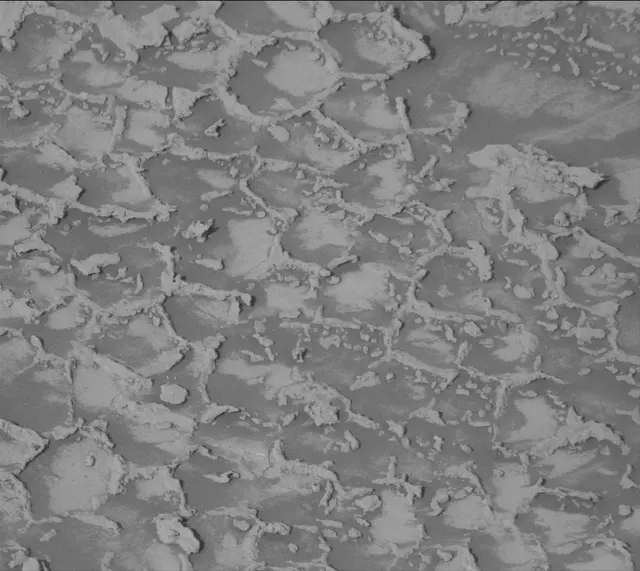 Sol 4935: Mast Camera (Mastcam)