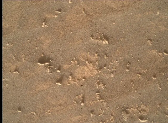 Sol 4941: Mars Hand Lens Imager (MAHLI)