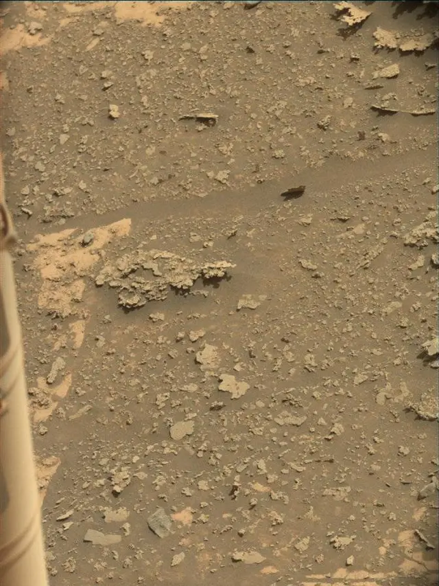 Sol 4942: Mast Camera (Mastcam)