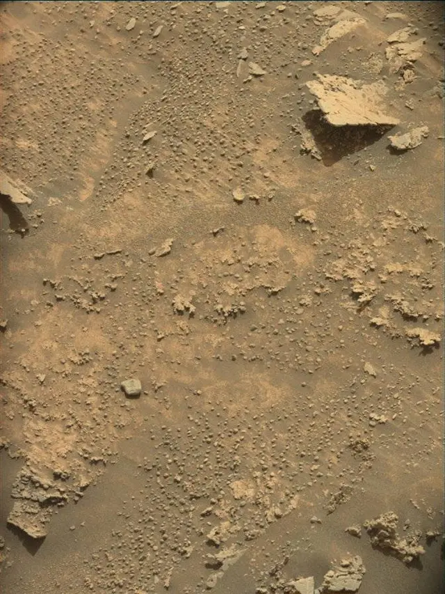 Sol 4942: Mast Camera (Mastcam)