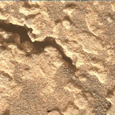 Sol 4944: Mars Hand Lens Imager (MAHLI)