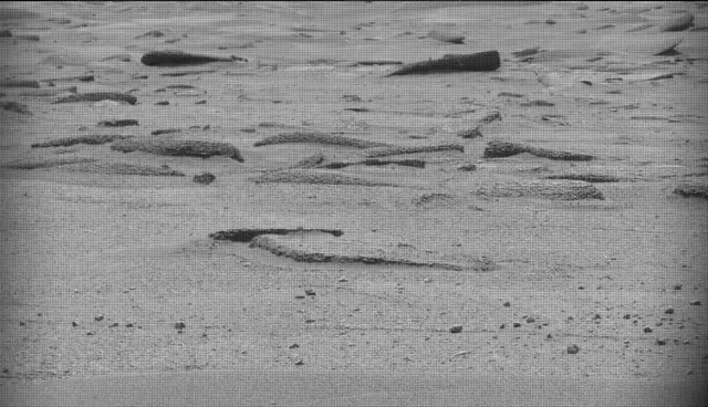 Sol 4949: Mast Camera (Mastcam)