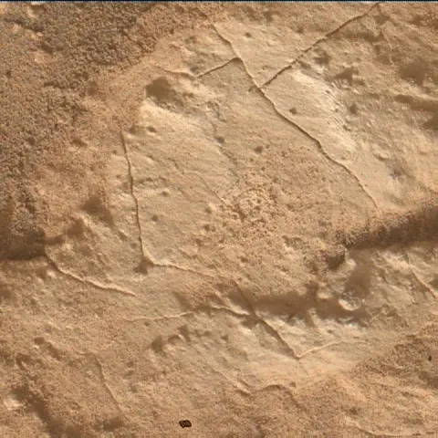 Sol 4949: Mars Hand Lens Imager (MAHLI)