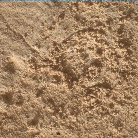 Sol 4949: Mars Hand Lens Imager (MAHLI)